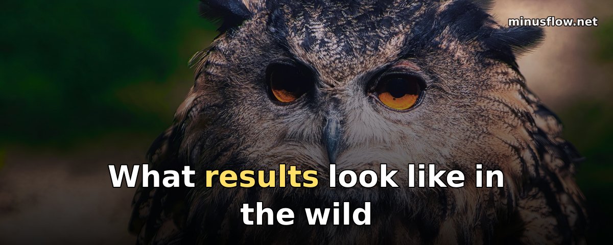 What results look like in the wild